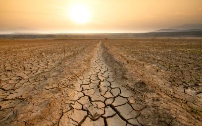 Are Famines of “Biblical” Proportions Coming?
